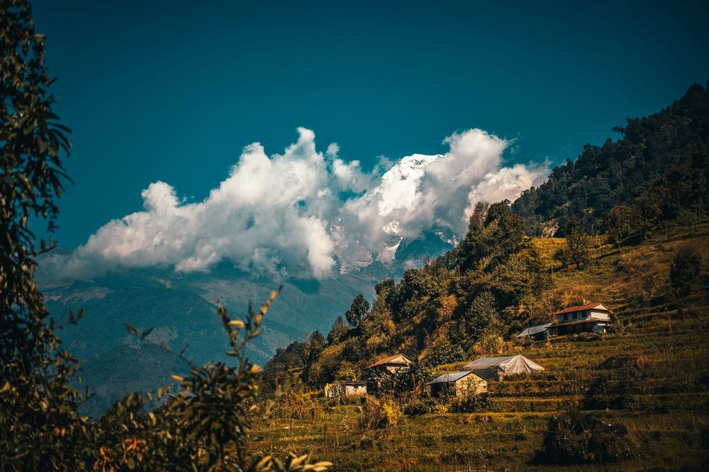 pattale Village